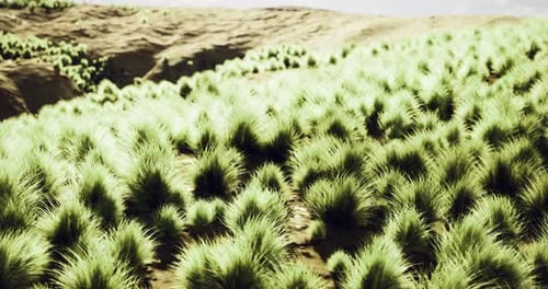 Lush Green Grass Landscape Under Clear Sky with Rock Formations in Background