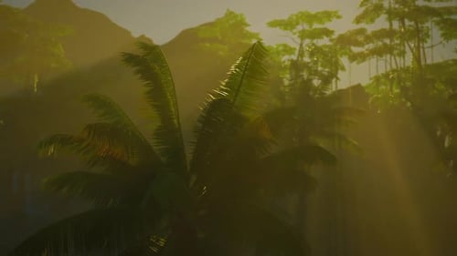 Sun Shining Through Trees in Forest