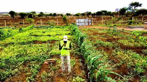 Rural agricultural farms in Kenya. Drone pilot land survey. Smart Agriculture technology.