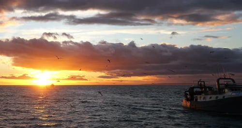 Fishing boats coming back to the harbour at sunset, France