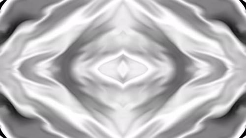 Abstract Fluid Symmetrical Morphing Black and White Transition Reveal
