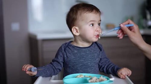 Adorable Toddler Being Fed in High Chair
