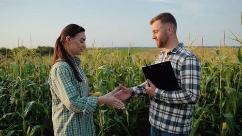 Adults Shake Hands in Corn Field at Daytime