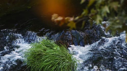 Waterfall View In Wild Nature 112