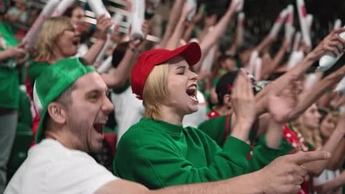 Baseball happy fans watch game. Team scores winning goal. Sport stadium tribune.
