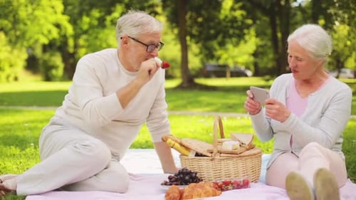 Senior Couple Enjoying Picnic and Taking Pictures