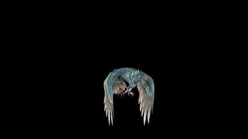 Carrion Crow Passout im Leerlauf