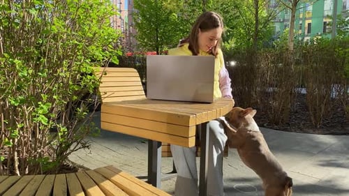 Woman Working on Laptop with Dog in Urban Park
