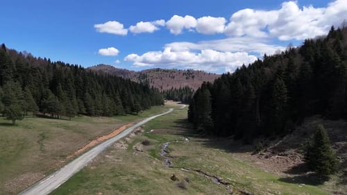 Plateau Road
