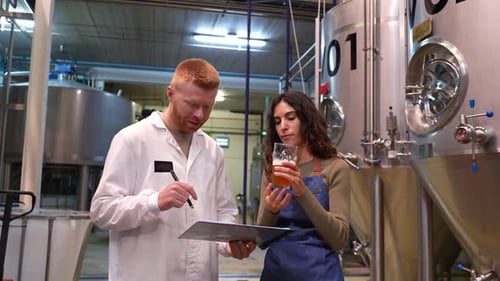 Brewery Workers Tasting Beer During Quality Control Inspection