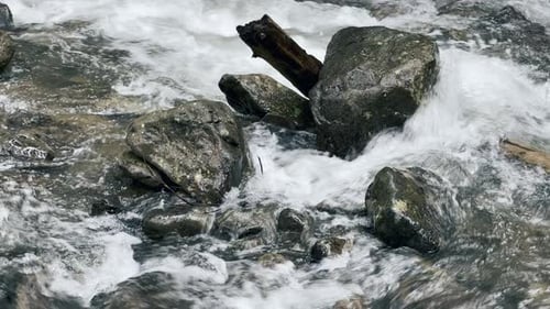 Rushing Stream Water Flowing over Rocks and Boulders