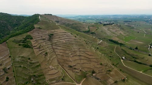 Vista aérea de las laderas de los viñedos, Francia.