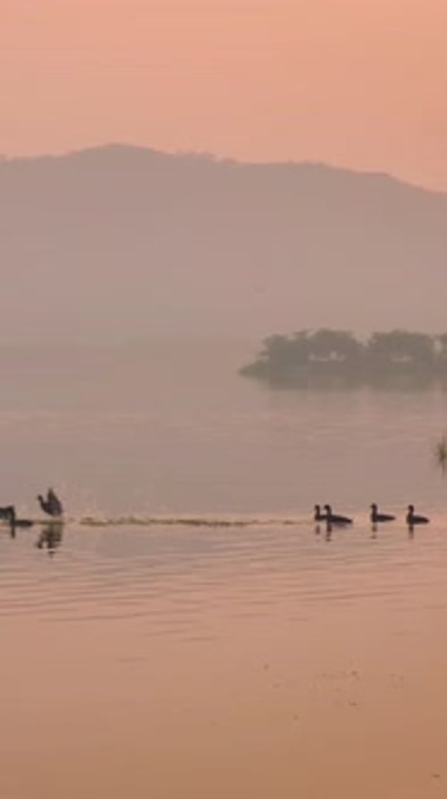 Palais aquatique Jal Mahal au lever du soleil à Jaipur, Rajasthan, Inde