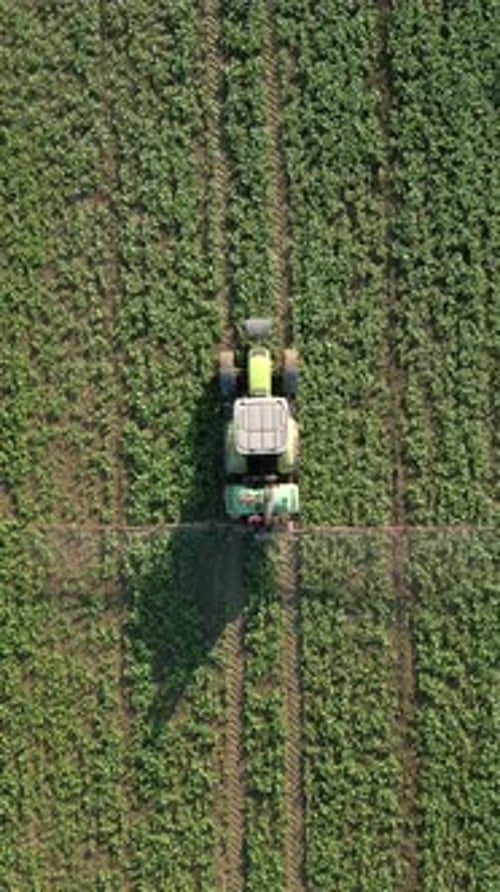 Tractor Sprays The Field Top View
