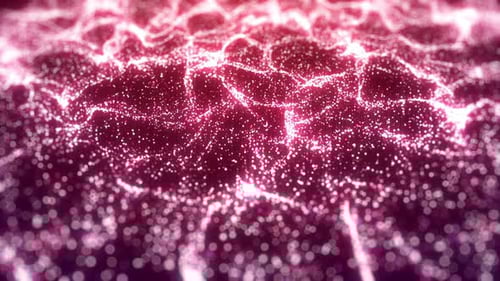 Magical Lights River