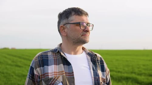 Senior Farmer is Standing in His Growing Wheat Field He is Satisfied After Successful Sowing