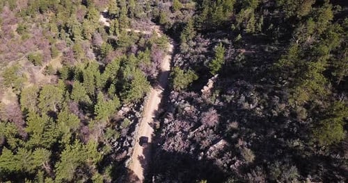 Dark SUV vehicle drives slowly towards a sharp curve in a mountain fire road surrounded by dead pine