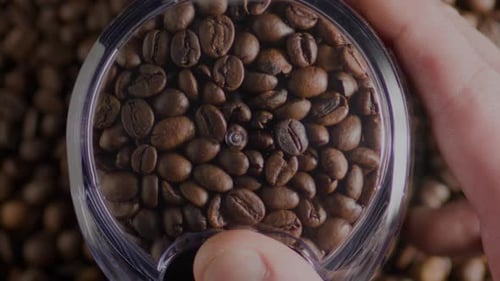 Roasted coffee beans in clear container close up