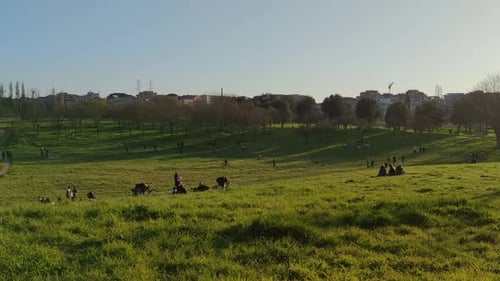 Gente en la hierba verde de Spring Park