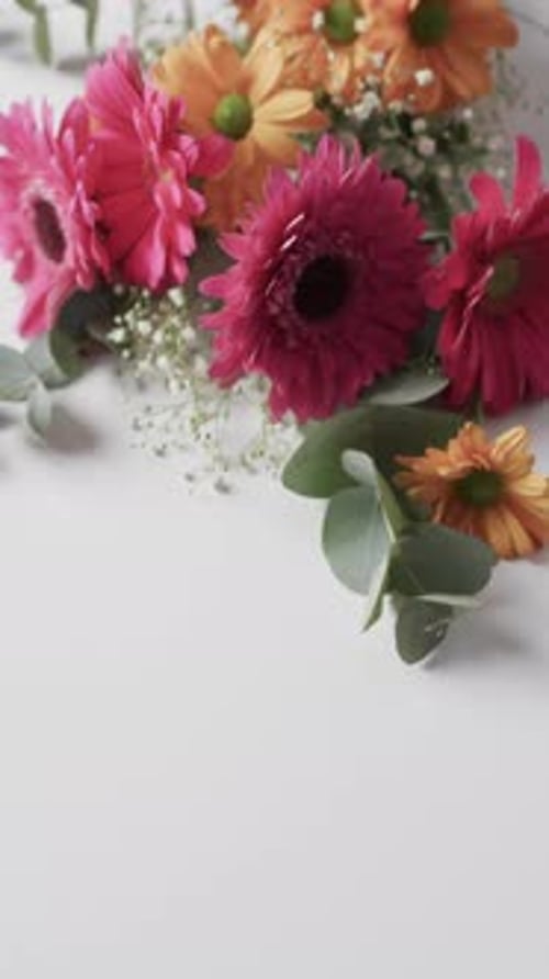 Bright Pink and Orange Flowers on White Background