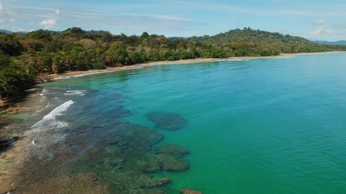 Coral reef lagoon beside lush tropical forest coast on a clear sunny day at Playa Cocles Puerto Viej