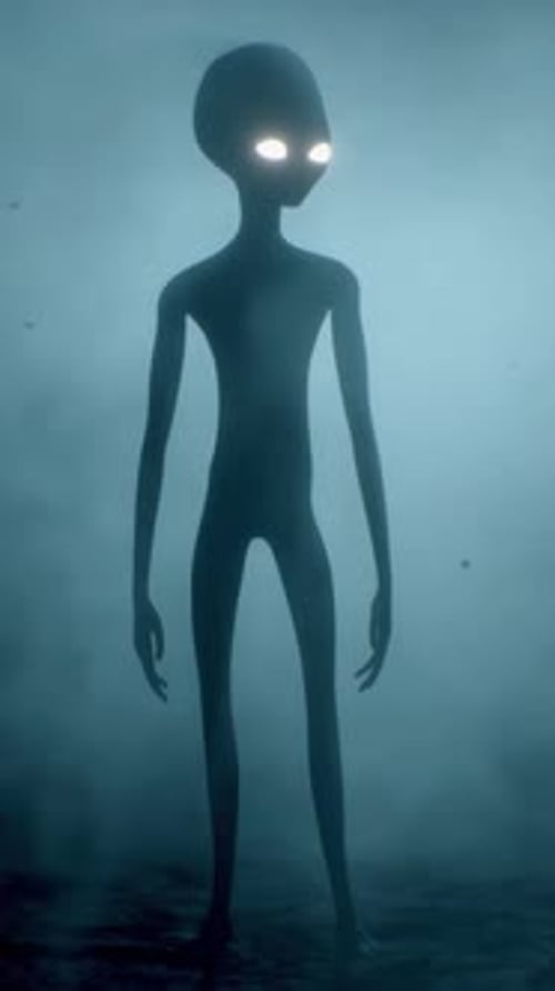 Scary Gray Alien Stands and Looks Blinking on a