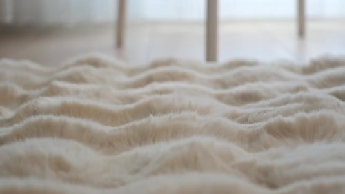 Close-Up of Soft, Fluffy Rug in Home Interior