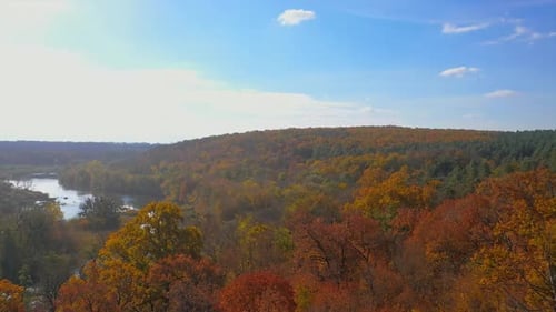 Aerial View of Autumnal Forest Landscape with River