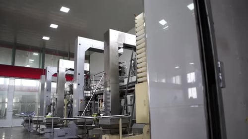 usine de gâteaux alimentaires sur une chaîne de montage, cookies automatisés sur une ligne de production de bandes transporteuses dans un fac