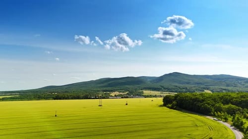 Rolling green hills landscape. Lush green fields stretch across the landscape