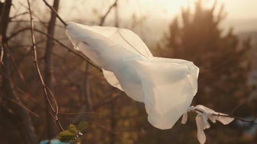 A la luz del sol, una bolsa de plástico que cuelga de verde en un bosque, contaminación, problema del ecosistema, barre