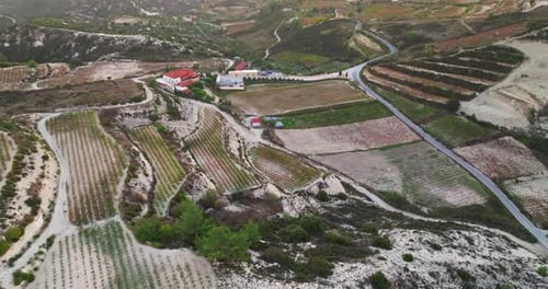 Panoramaaufnahmen der Weinberge aus der Luft von Weinreben an den Hängen majestätischer Berge