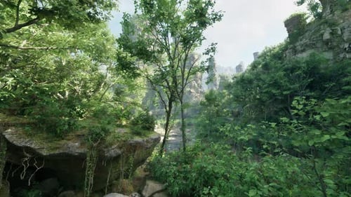 A Serene Forest Landscape with Majestic Trees and Rocky Terrain Mountain Path