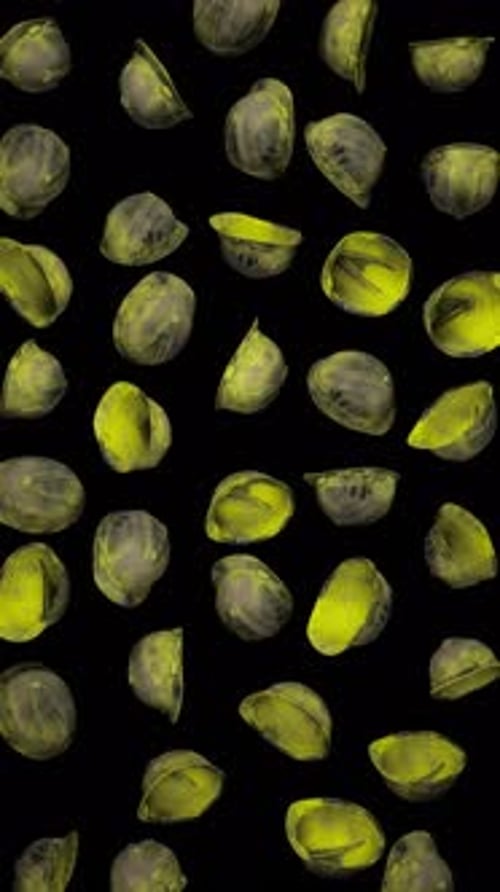 Vertical Falling Construction Helmets on Alpha