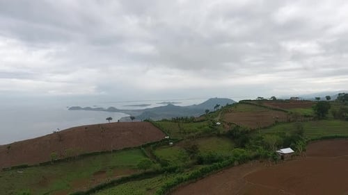 Aerial garden and sea views