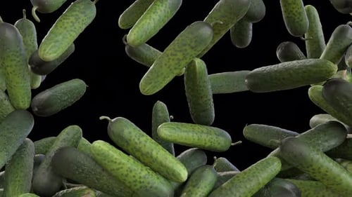 Fresh Green Cucumbers Falling and Piling Up Animation