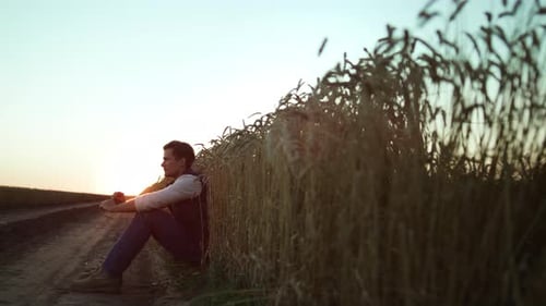 Satisfied agribusiness owner resting at golden sunset after hard day observing wheat field