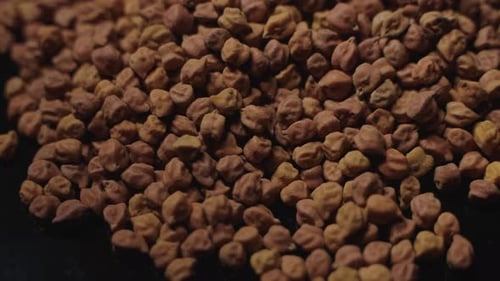 Pile of Fresh Brown Chickpeas Macro Shot