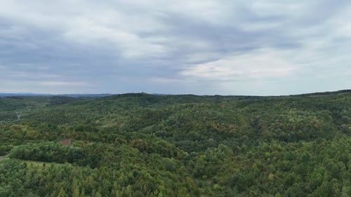 Vast Mountain Forest Aerial Shot