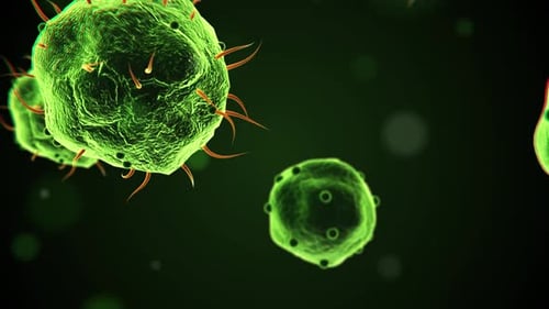 Animated Green Microscopic Organisms Loop for Science and Healthcare