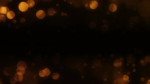 Particular Overlay 03