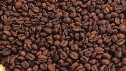 Roasted Coffee Beans Falling in Close Up Shot