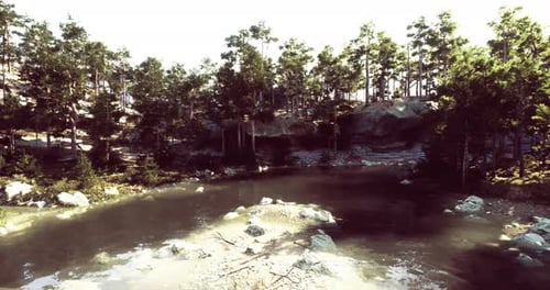 Flying Over a Tranquil Forest Pond Nature Scene