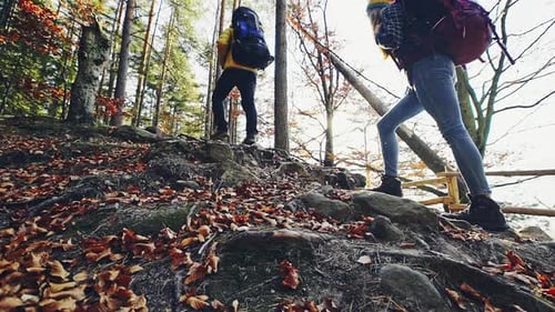 Team of Hikers Walking Up Mountain