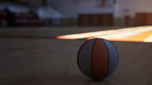 Basketball Resting on Gym Floor