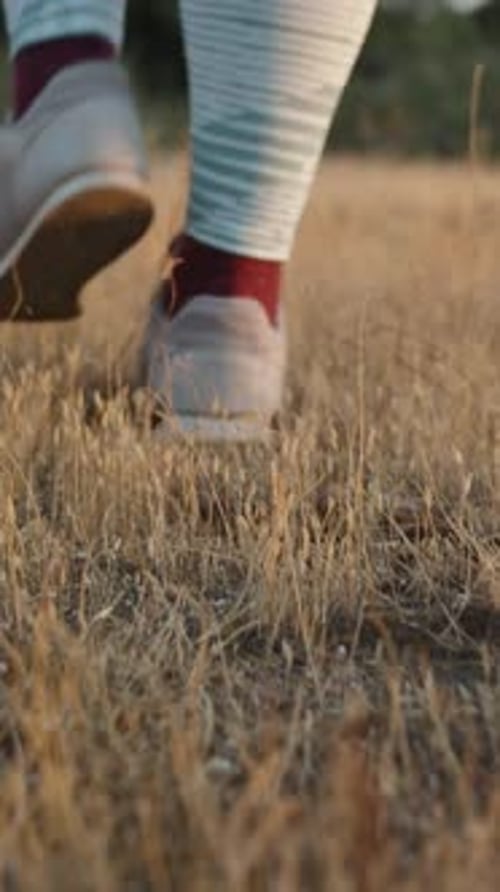 The young woman walks through the dry grass at sunset, the camera follows her from the bottom, close