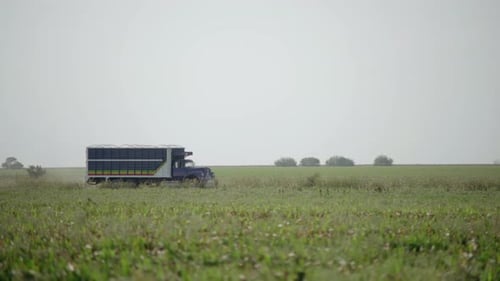 AGRICULTURE - Truck driving past wheat farm fields in Mexico, handheld wide shot
