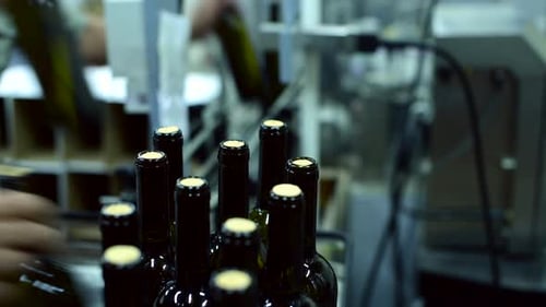 Wine Bottle Conveyor Operates in Factory Producing Red and White Wine Bottles During Work Hours