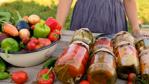 Preservation of Vegetables in Jars Woman Selective Focus