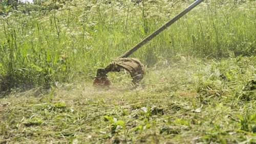 Trimming Weeds in Green Rural Field